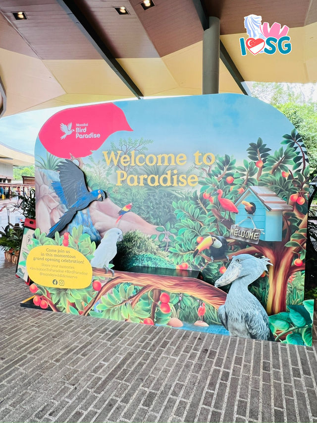 🇸🇬 Welcome to Bird Paradise 