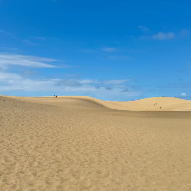 Discover Tottori Sand Dunes Children’s Playground – A Hidden Gem for Family Fun