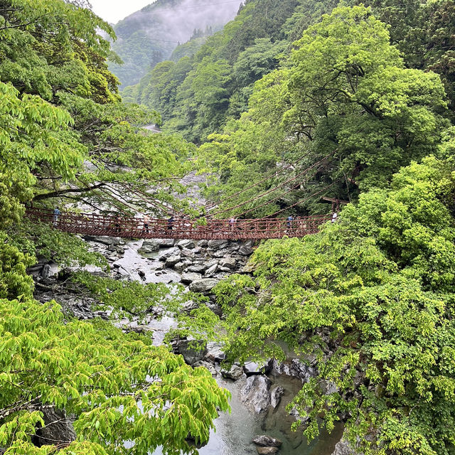 四國漫遊之旅