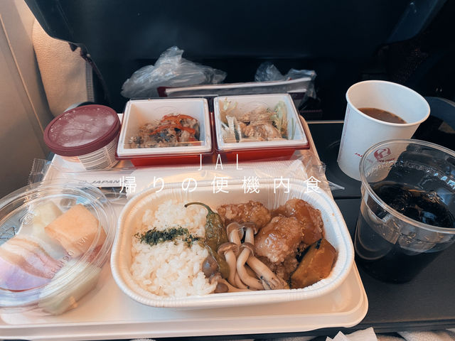 JALで行く国際線 香港→日本