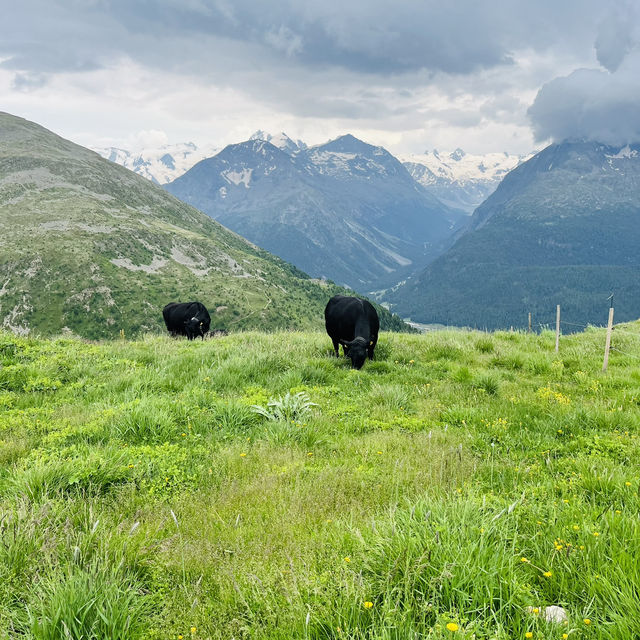 🇨🇭スイス　ムオタスムライユ展望台