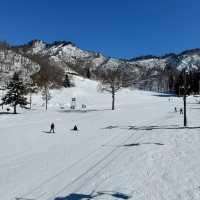 札幌國際滑雪場：冬季運動的夢幻之地⛷️❄️🏔️