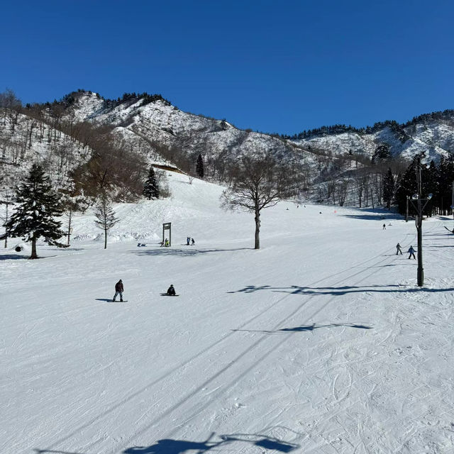 札幌國際滑雪場：冬季運動的夢幻之地⛷️❄️🏔️
