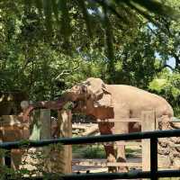 🌎廣州動物園～可愛動物世界🌎