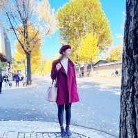 Colorful Autumn Of Gyeongbokgung Palace In Seoul 