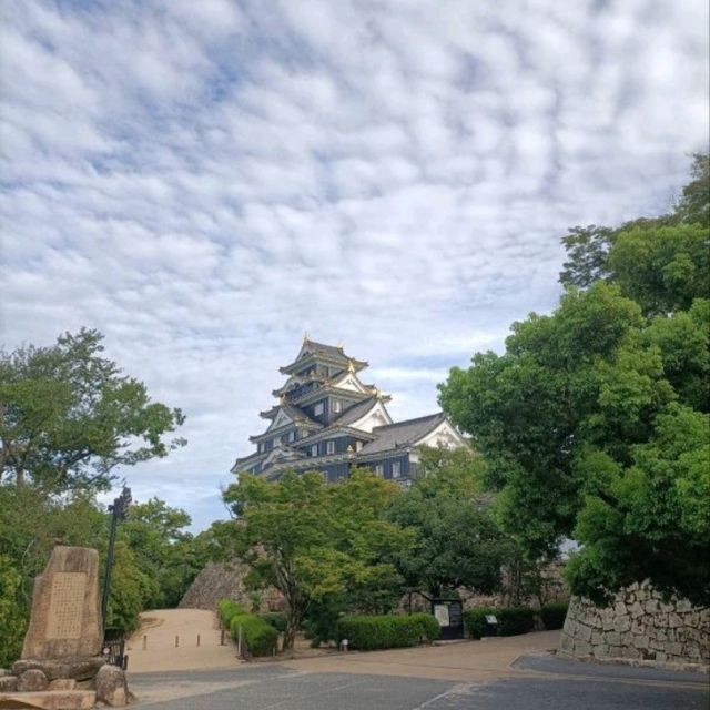 日本百大名城 - 岡山城