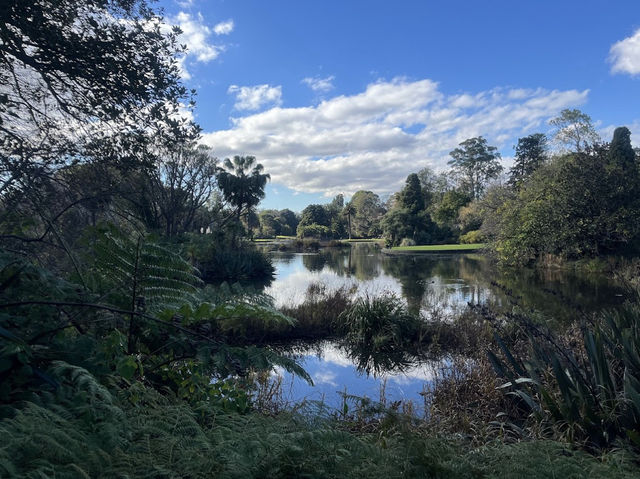Royal Botanic Gardens Victoria - Melbourne Gardens