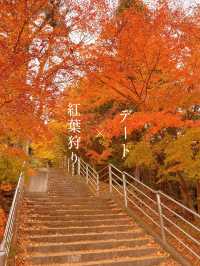 【山梨】富士山見ながら紅葉狩り