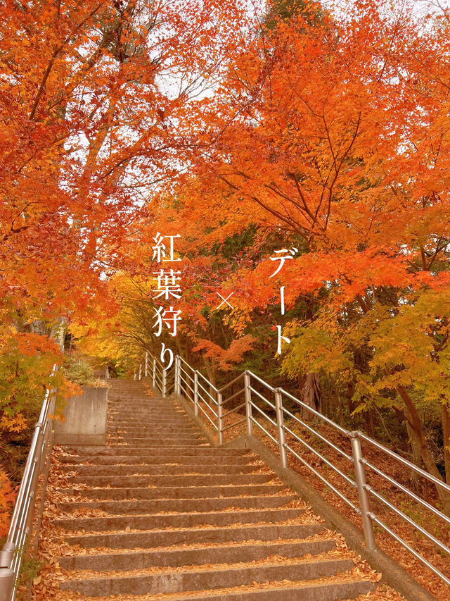【山梨】富士山見ながら紅葉狩り