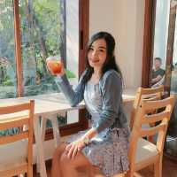 ใกล้บ้าน • In The Garden ~ คาเฟ่ในสวน