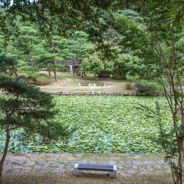 인공호수와 전통한옥의 조화