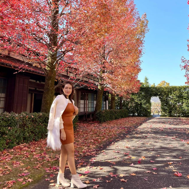 Tenrikyo Oyasatoyakata จุดถ่ายรูปใบไม้แดงญี่ปุ่น