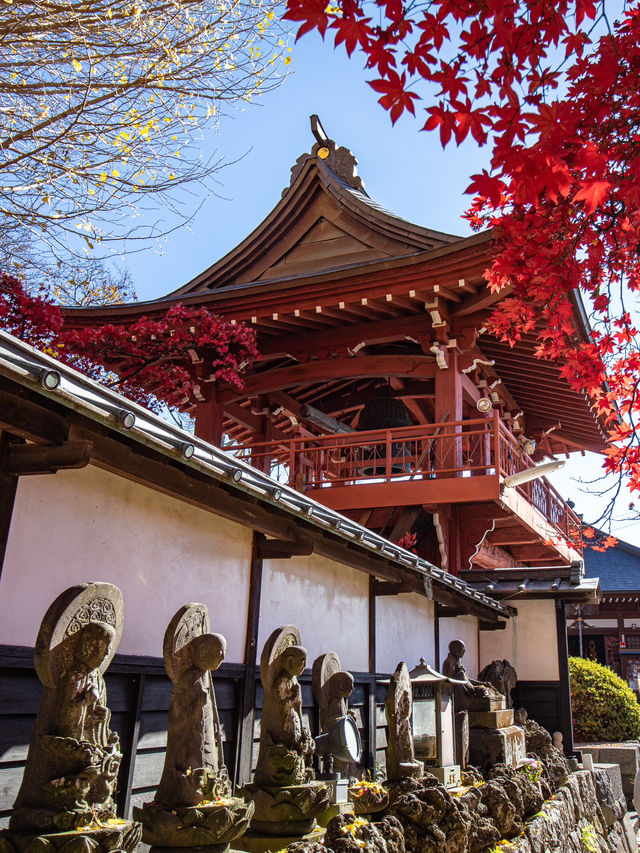 【長野県】長円寺