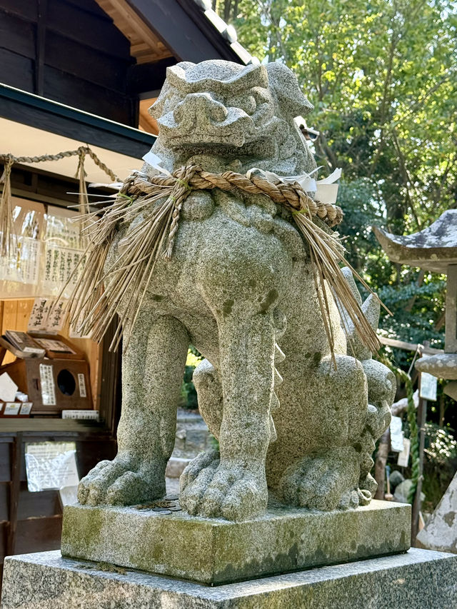 【長崎県】全国「月読神社」の元宮