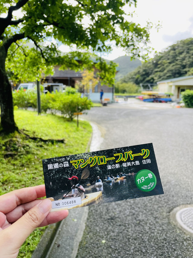 【奄美大島】絶対体験して欲しい！奄美大島でマングローブカヌー！