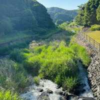 檜木內川河川綠地：自然與完美融合 🌳💧