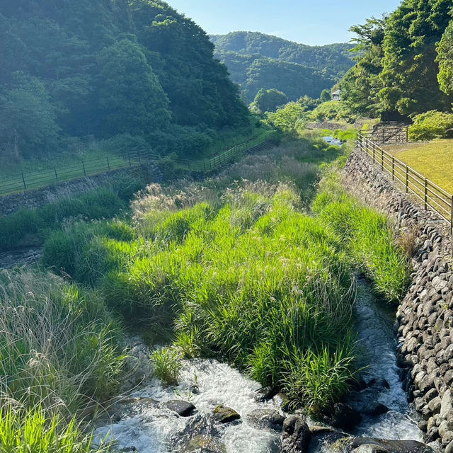 檜木內川河川綠地：自然與完美融合 🌳💧