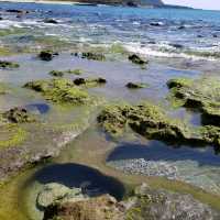 【鹿児島】奄美大島の他の島にはない魅力とは？