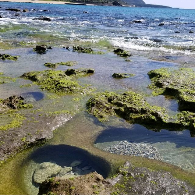 【鹿児島】奄美大島の他の島にはない魅力とは？