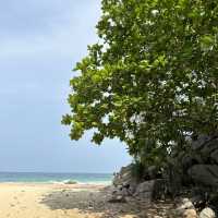 เช็คอินสะพานไม้หาดในทอน ภูเก็ต