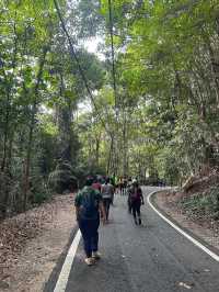 Exploring Tanjung Tuan Recreational Forest 🌿