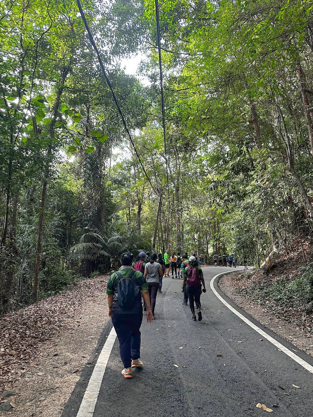 Exploring Tanjung Tuan Recreational Forest 🌿