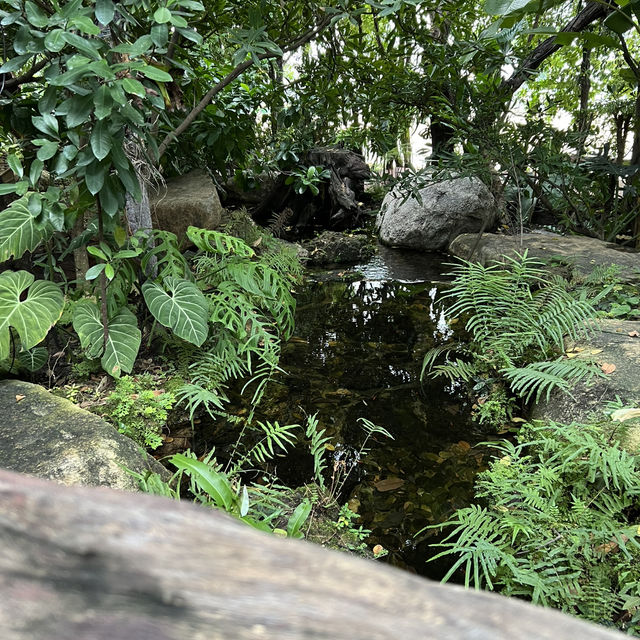 BIGBEAR EATERY คาเฟ่ ที่ไม่ได้มีดีแค่บรรยากาศ 🐻🧸