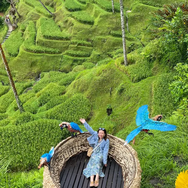 Wonderful Visit to Alas Harum Bali