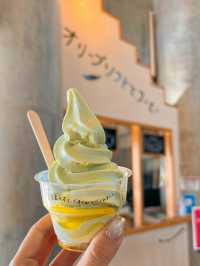 【香川】地中海の雰囲気漂う小豆島のオリーブ園🫒