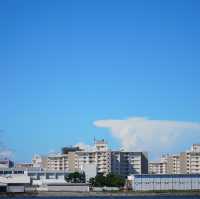 【神奈川/横須賀】世界三大記念艦がある三笠公園