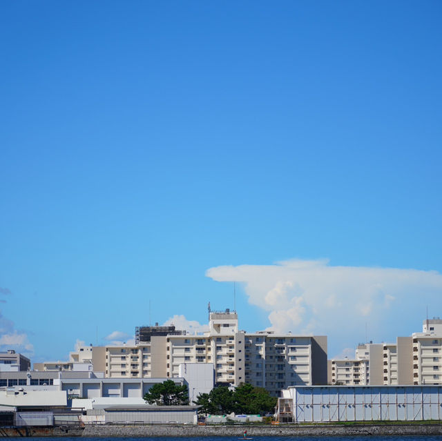 【神奈川/横須賀】世界三大記念艦がある三笠公園