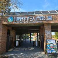 旅行都需要一刻既恬靜😉