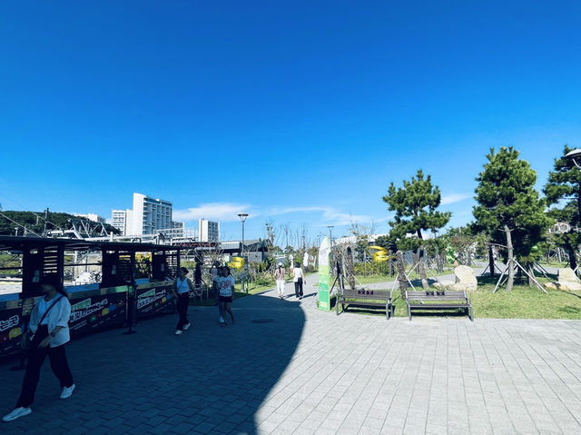 韓國釜山 好玩的跑跑卡丁車 Skyline Luge 釜山 스카이라인 루지 부산