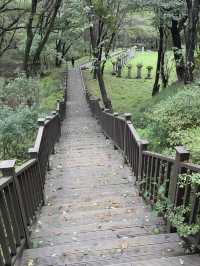 Fancy a walk in a forest around ancient fortress?