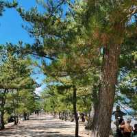 【広島】世界遺産・日本三景の宮島⛩️
