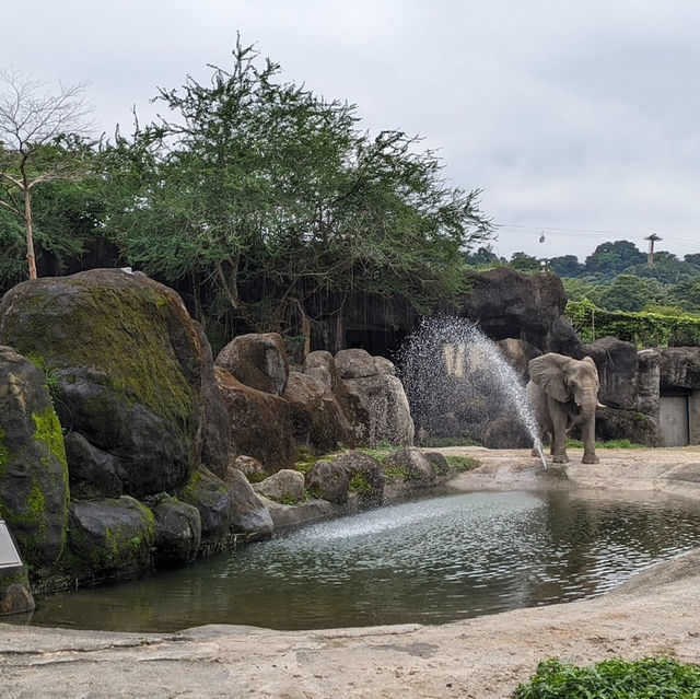 台灣最大的動物園 — 臺北市立動物園🐾