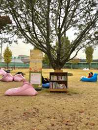 가을을 느끼기 좋은 야외 도서관 데이트🍂📚