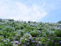 名古屋愛知縣景點：適合自駕遊 