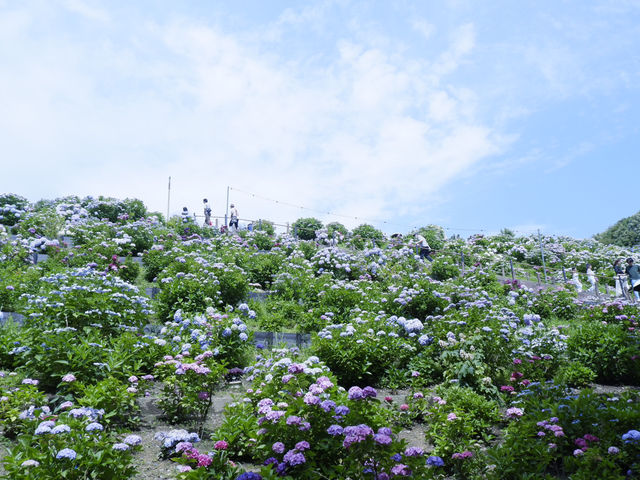 名古屋愛知縣景點：適合自駕遊 