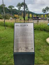 음악분수도 볼수있는 예천 삼강문화단지💜