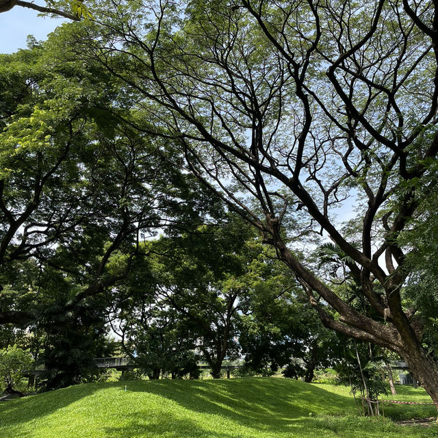 อีกหนึ่งสวนกลางเมืองฮีลใจ “สวนเบญจกิติ” 🏞️🏙️🌷