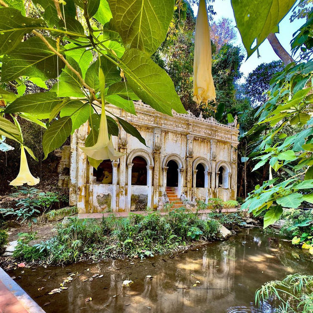 Explore the Tranquility of Wat Pha Lat