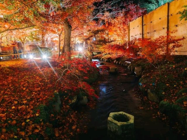 Kyoto