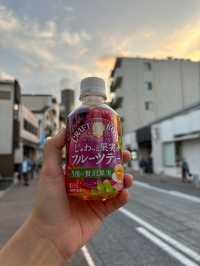 เที่ยววัด Naritasan ใกล้สนามบินนาริตะ