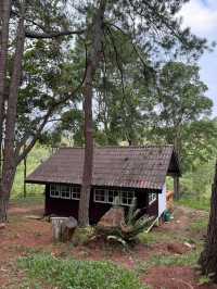 ภูหินร่องกล้า | พิษณุโลก 🏡⛰️🌲🍃