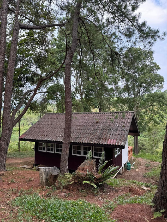 ภูหินร่องกล้า | พิษณุโลก 🏡⛰️🌲🍃