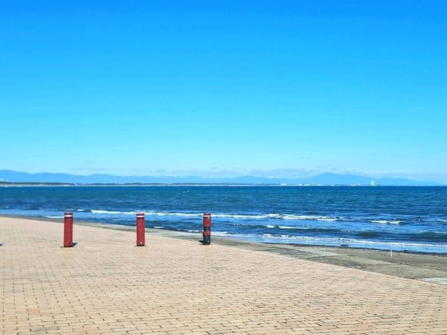 宮崎絕美海岸線 鬼の洗濯板與青島神社