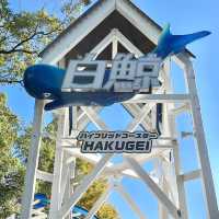絶叫系が楽しいナガシマスパーランド