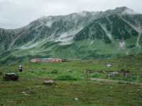 Tateyama Kurobe Alpine Route