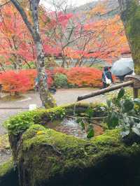 【湯布院】感動！亀の井別荘の素晴らしい紅葉✨